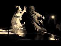 LeAnn Rimes - Hallelujah - Live