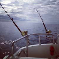 Holidays